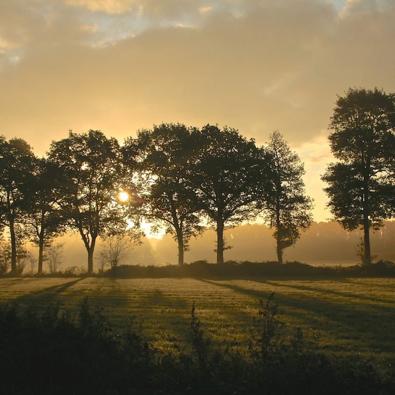 Đường Xưa Lối Cũ Vlog