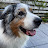 @Stormidutchzzz's avatar