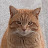 @TTIVITTmeows