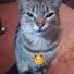 J9G3QHmRJ88-channel-avatar-Gonzoki