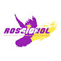 Centre de Formation Professionnelle ROSSIGNOL logo