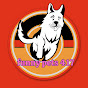 funny pets 417 logo