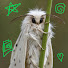 PLAMcUX5YEU-channel-avatar-ɴɪᴋᴏʟᴀɪ