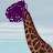 @parashar15384's avatar