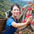jhydY50XSJ4-channel-avatar-Tieu Phuong Harvest Life