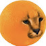 ZaeGNooDtfs-channel-avatar-_Care