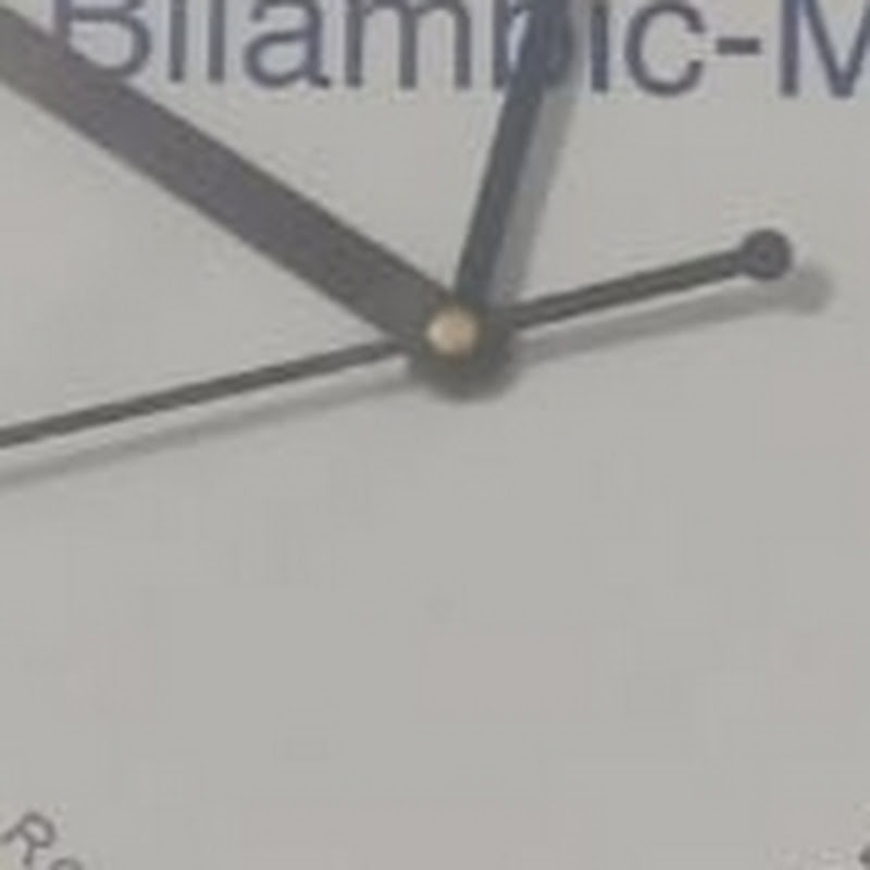 Shout The Loud Reviews