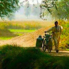 شہر میں دیہات Shehr Main Dihat Fan