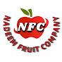 Nadeem Fruit company logo