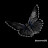 @عليطاهر-س2ص