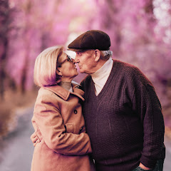 記憶のかけら朗読店┃シニアの不思議な恋物語の館