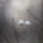 @lookingforamuse's avatar