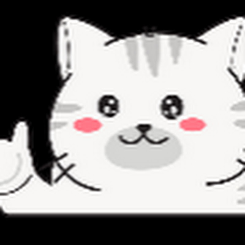 catttorybox thumbnail