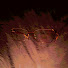 qMGHdM8zaW4-channel-avatar-Callme_Clevy
