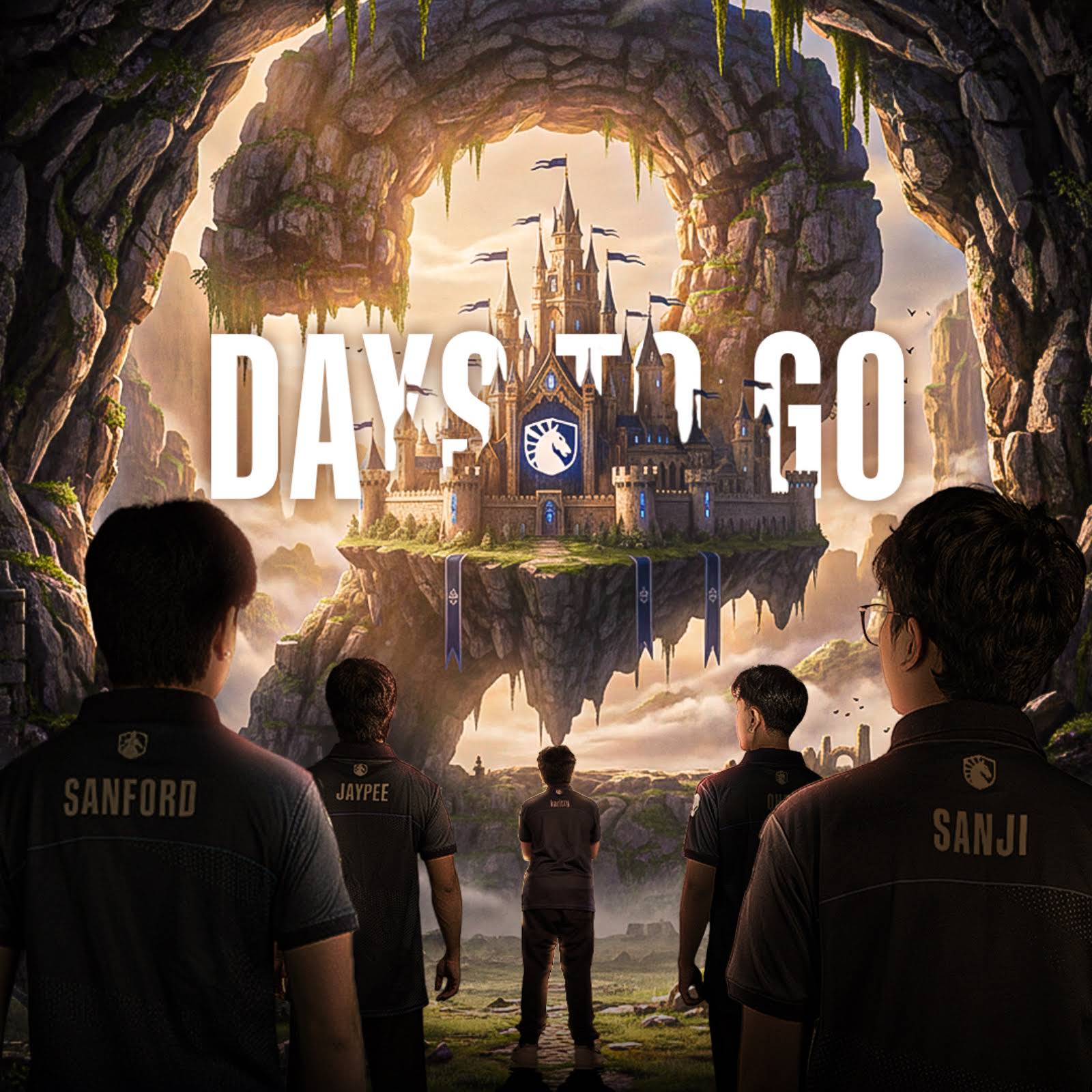 Post from Team Liquid ID