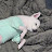 @kia00kr포쁠