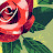 @user-rl9xi5yw6h