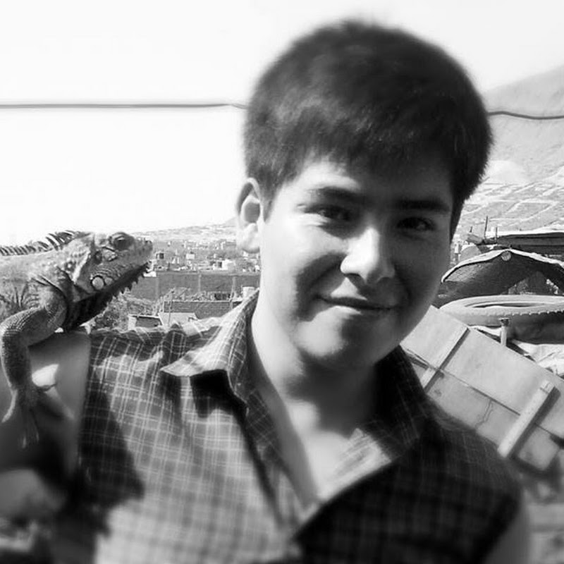 𝘋𝘳𝘢𝘬𝘬𝘰