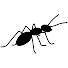1GYVFSMbj00-channel-avatar-Ant Survive The Night