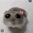 アイコン