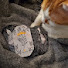 LWGbhu0EWnU-channel-avatar-Bittersweet Tales