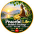 vAxrFokODaY-channel-avatar-ဘဝအလင်းရောင် တရားတော်များ(Peaceful Life Dhamma)