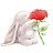 rose ♡ rabbit