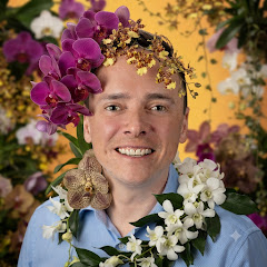 Dave's Orchid Oasis