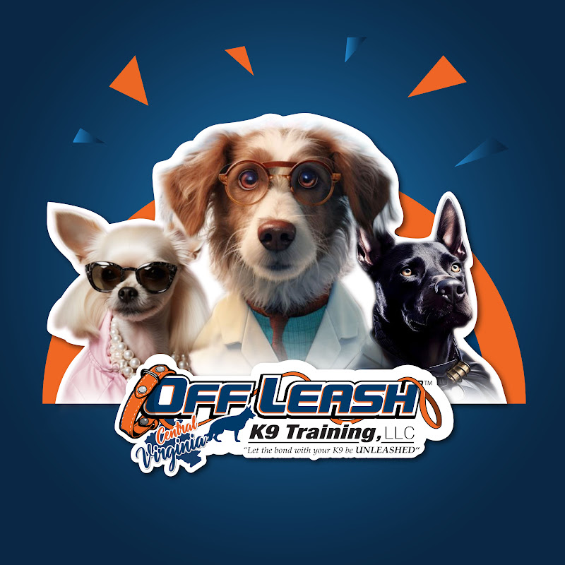 Off Leash K9 Training, Central Virginia