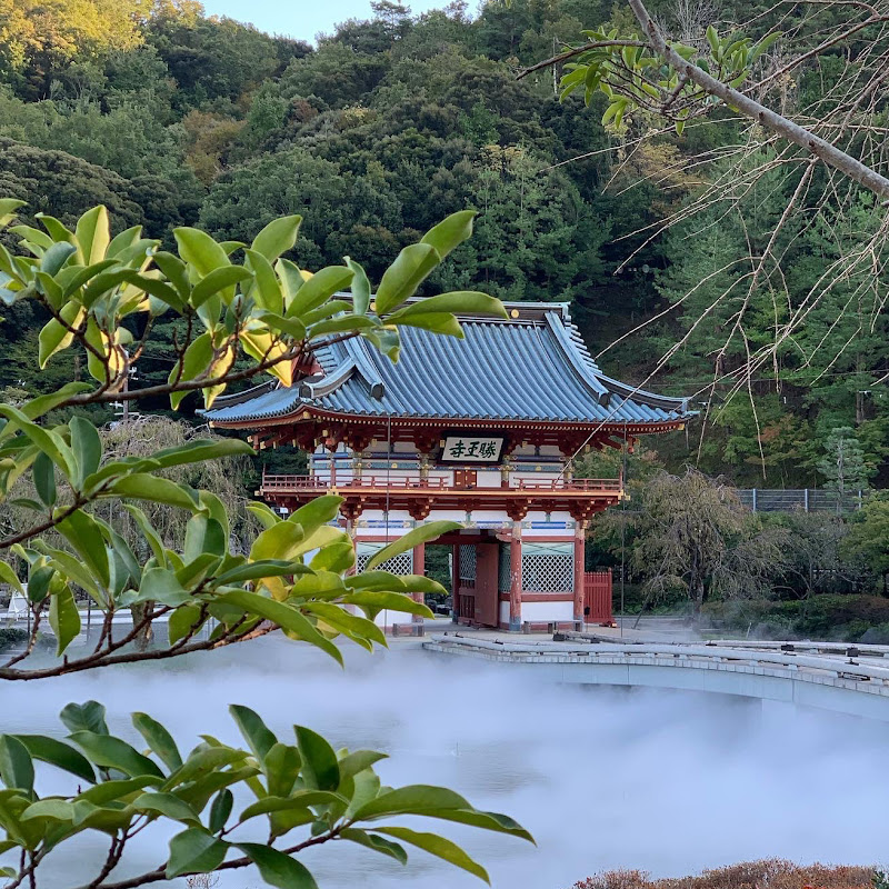 Japan Explorer 🇯🇵旅する日本