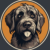 Wirehaired Pointing Griffon USA