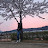 @새벽이슬-f8i