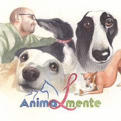 AnimaLmente