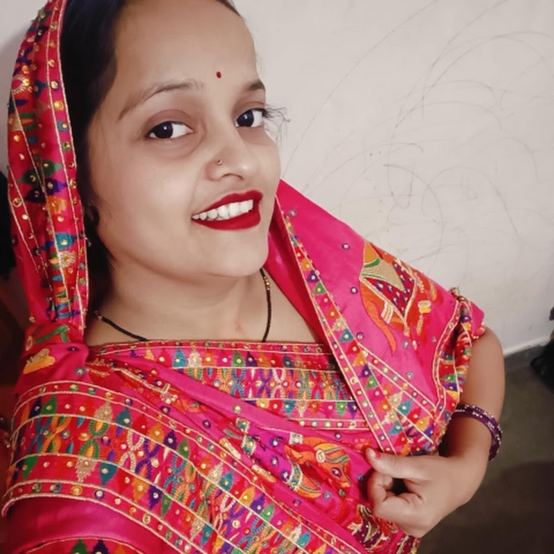 Anshu Vlog Spain avatar