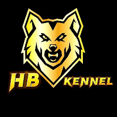 HB Kennel net worth