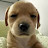 @exun_zz12