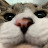 @코봉이랑레이랑