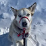 rmSvkkWjP5A-channel-avatar-Bentley <3