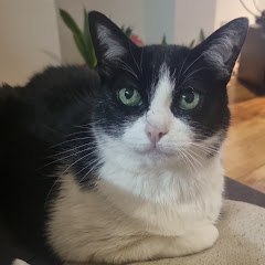 Brandon balones y fórmula 1