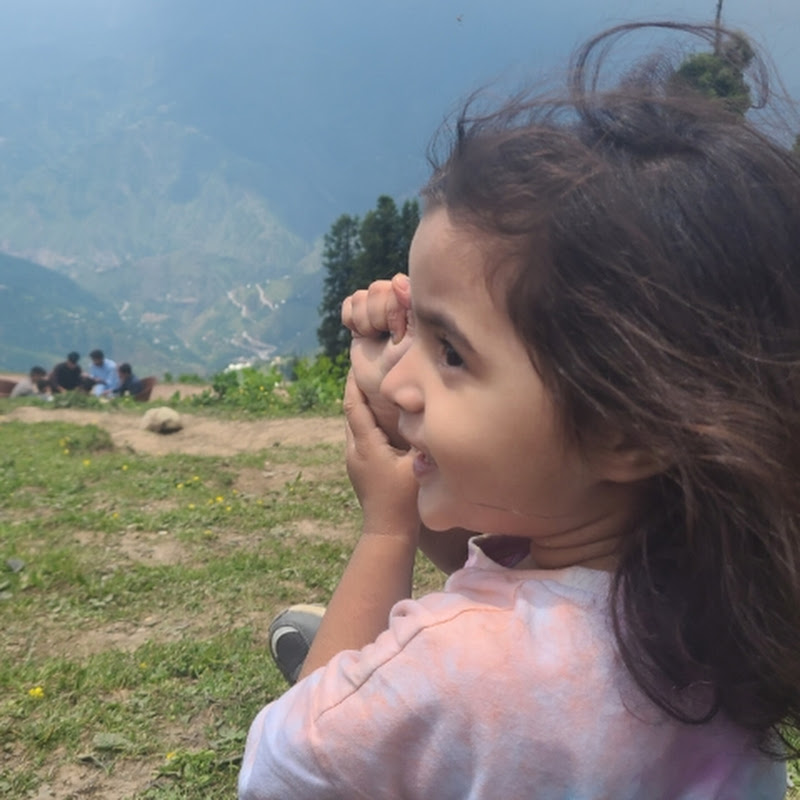 My Little Elu