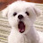@kimoonkwon7926