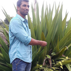 Srikanth Math Academy