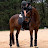 just_dressage1