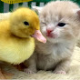 Kittens and Ducklings logo
