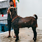 JK goat studio Bangalore