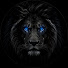 sefOcHsoxZY-channel-avatar-Apex Focus