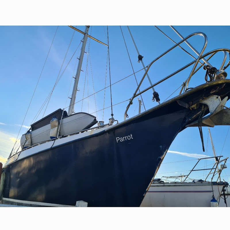 sailingprojectparrot