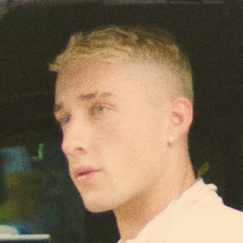 POLONI icon