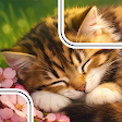 Jigsaw Blocks icon