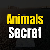 The secret of animals